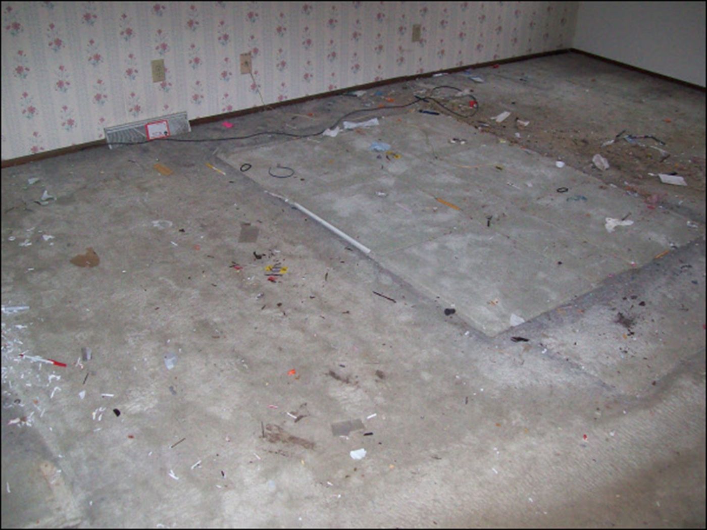 Cleaning and removal work by Efficient Cleaning in Milwaukee – job 60