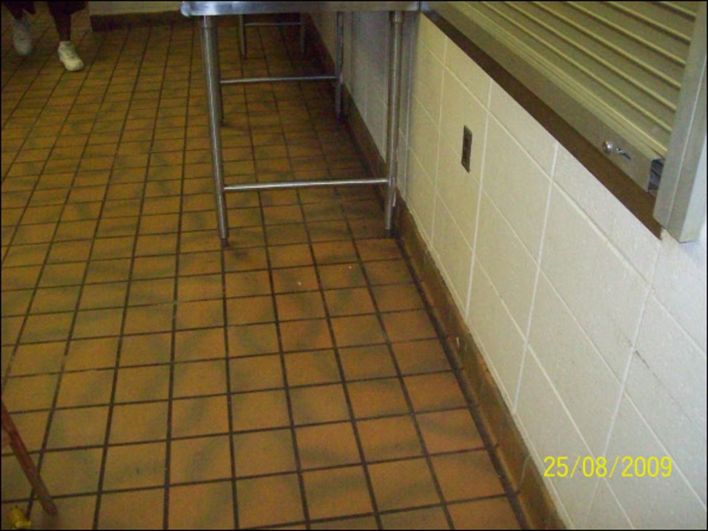 Cleaning and removal work by Efficient Cleaning in Milwaukee – job 68