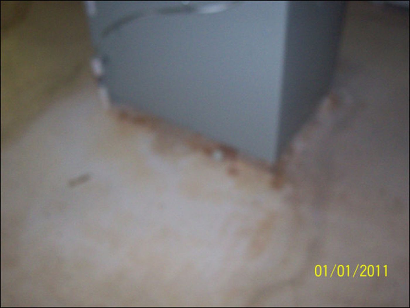 Cleaning and removal work by Efficient Cleaning in Milwaukee – job 100