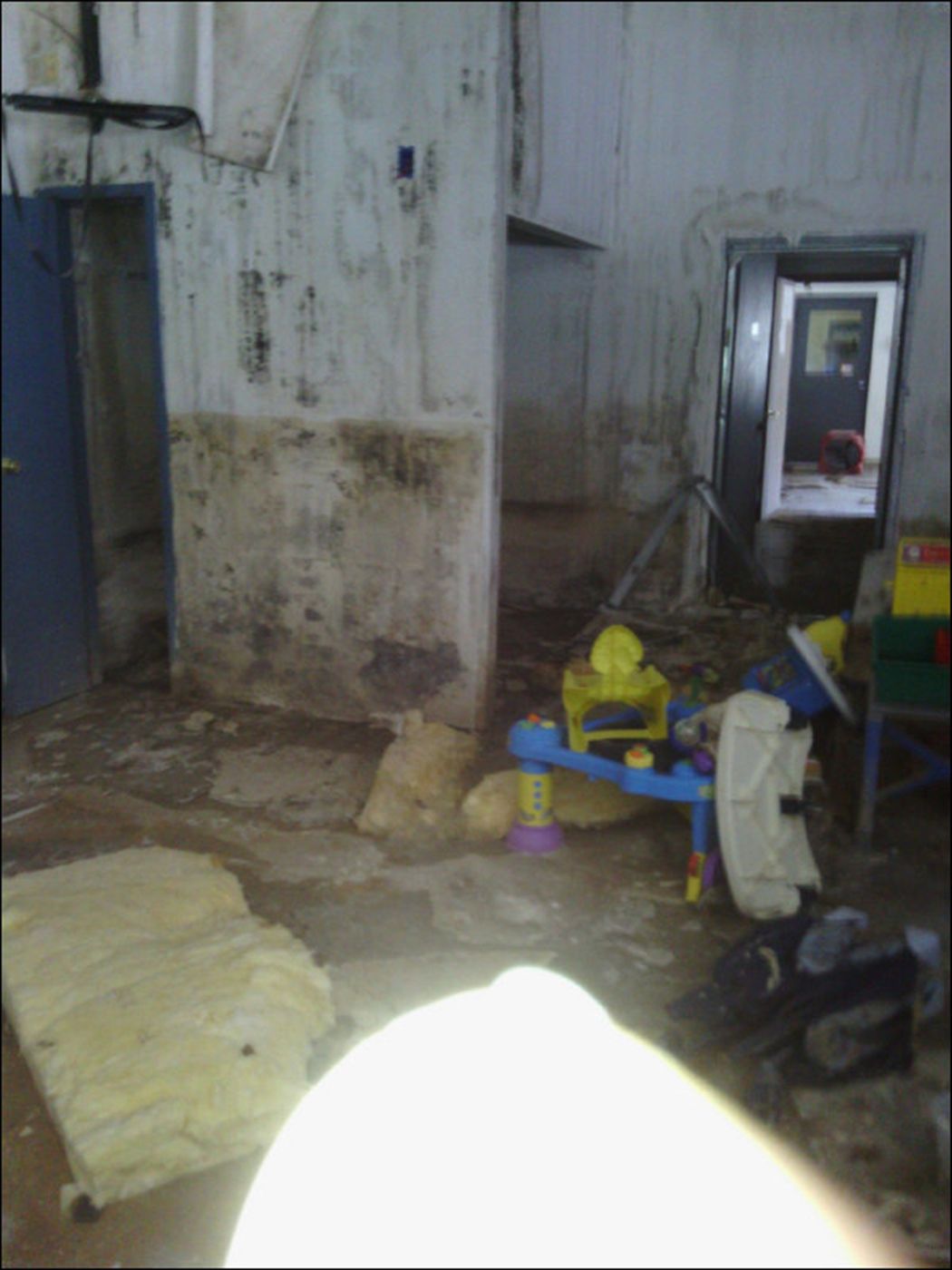 Cleaning and removal work by Efficient Cleaning in Milwaukee – job 181