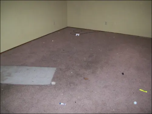 Efficient Cleaning job 206