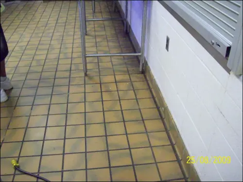 Efficient Cleaning job 69