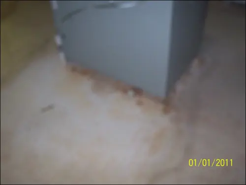 Efficient Cleaning job 100, Milwaukee